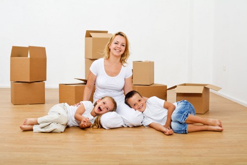 Internal investigation of a removals issue